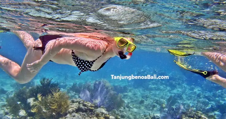 Snorkeling Tanjung Benoa