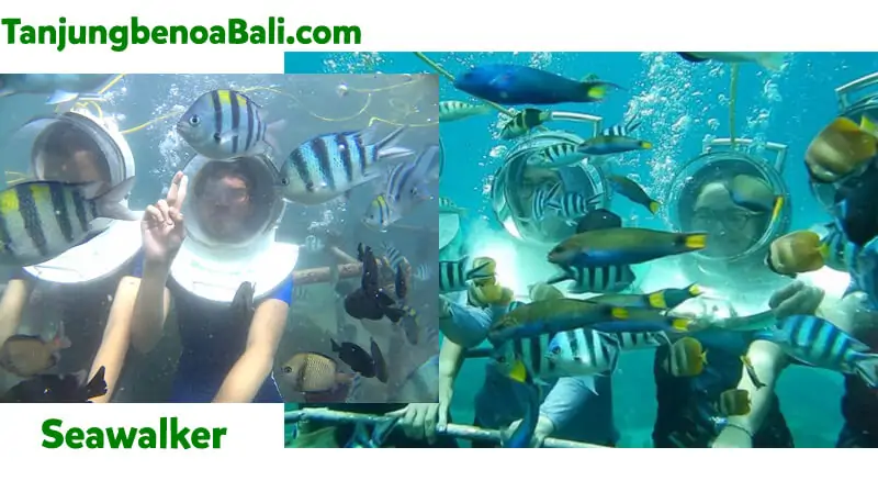 Seawalker Bali Tanjung Benoa